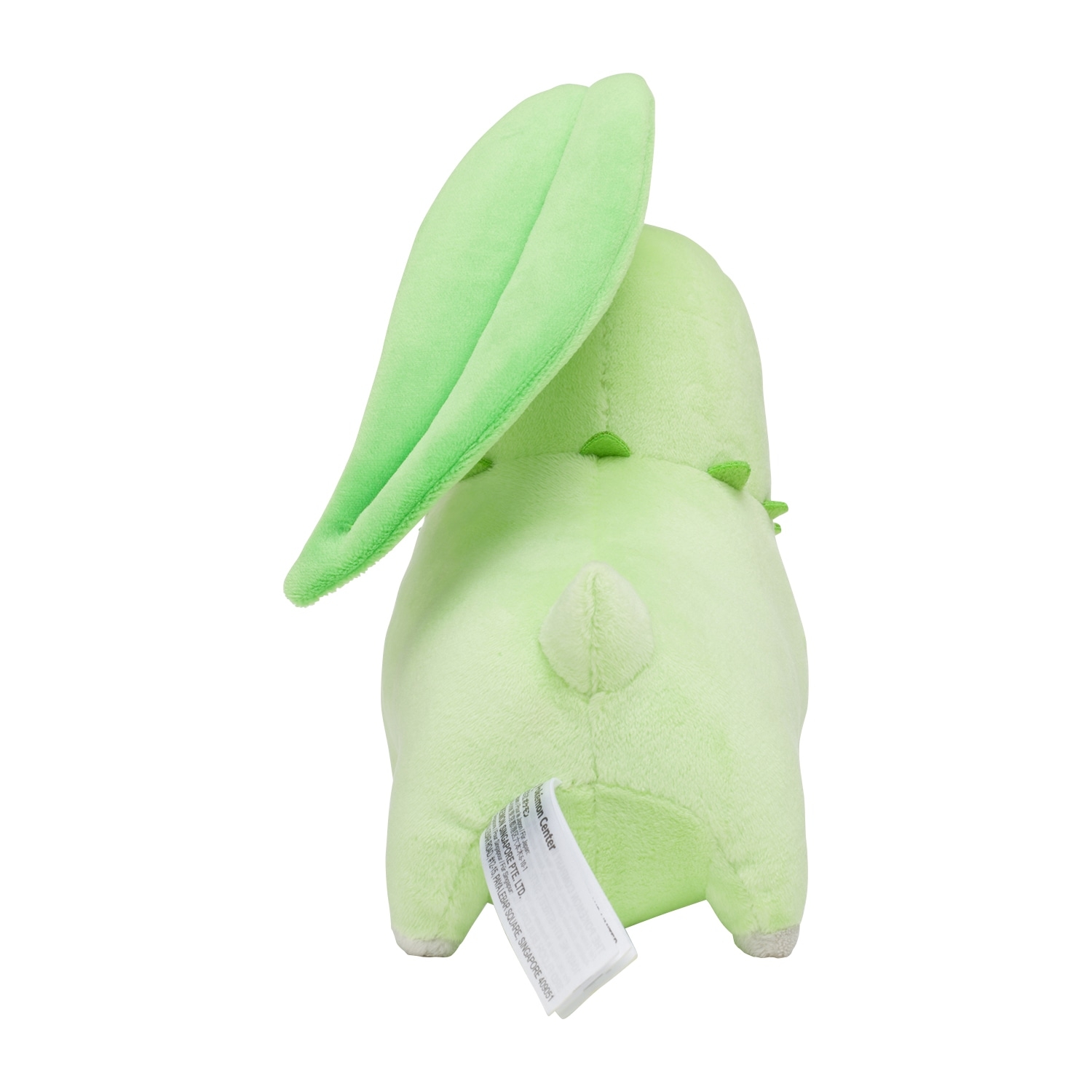 Chikorita / Endivie