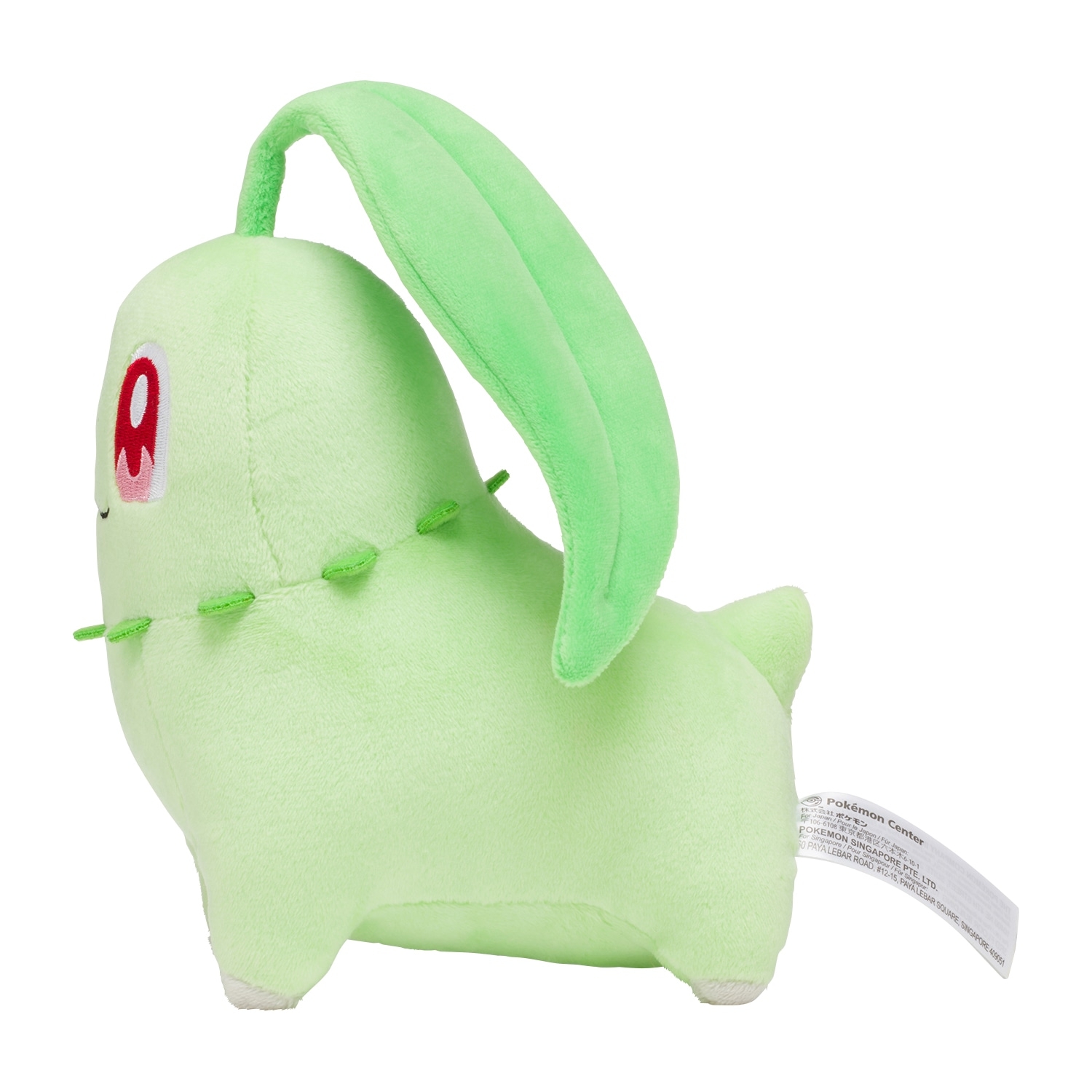 Chikorita / Endivie