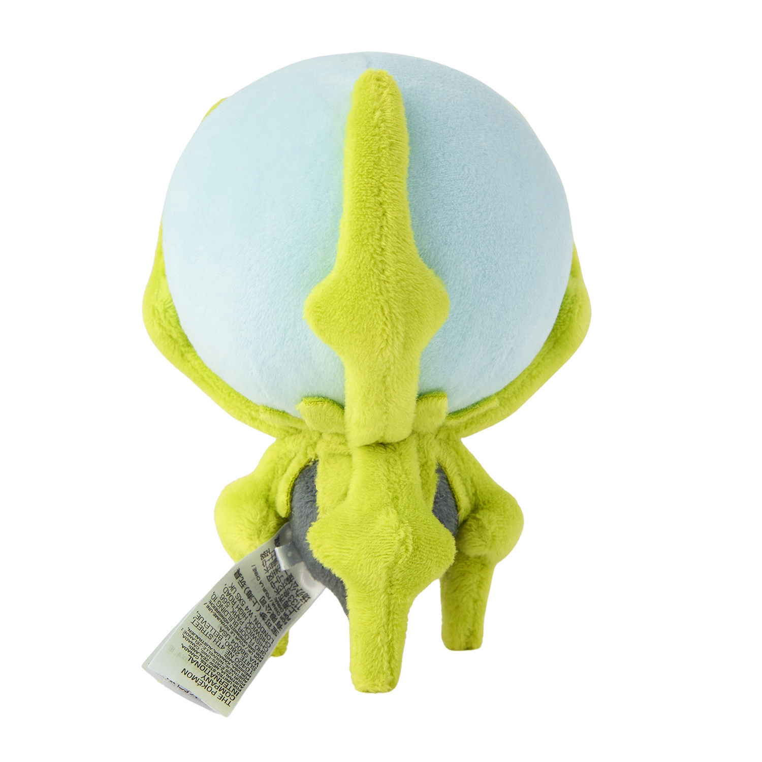 Dewpider / Araqua