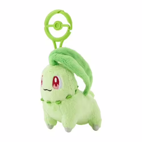 Chikorita / Endivie