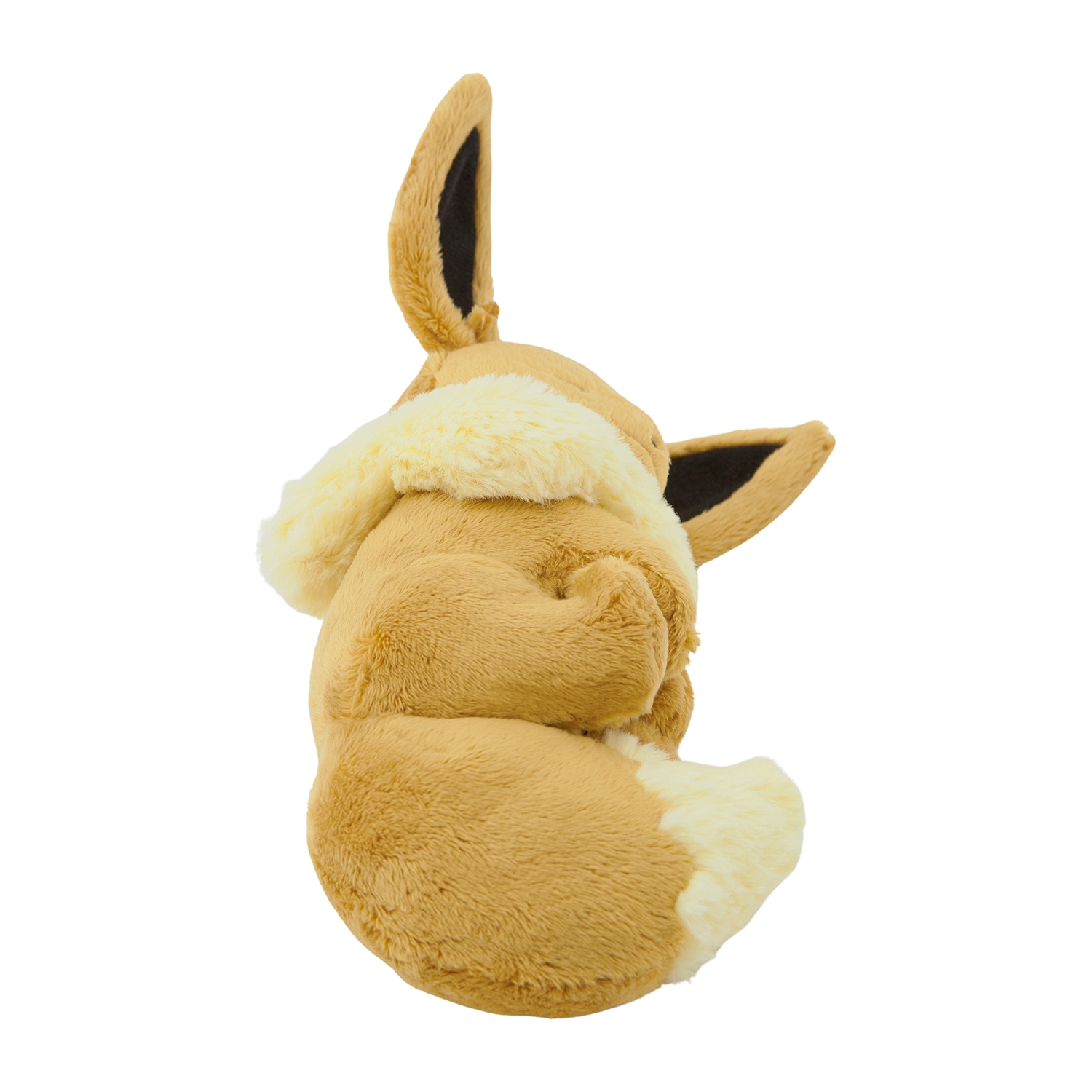 Sleeping Eevee / Schlafendes Evoli