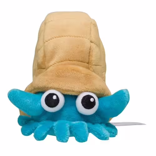 Omanyte / Amonitas