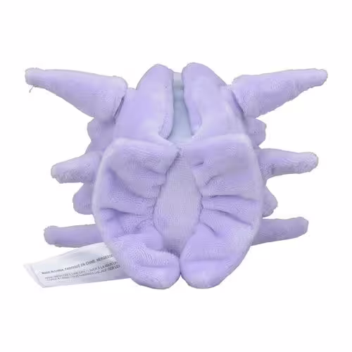 Cloyster / Austos