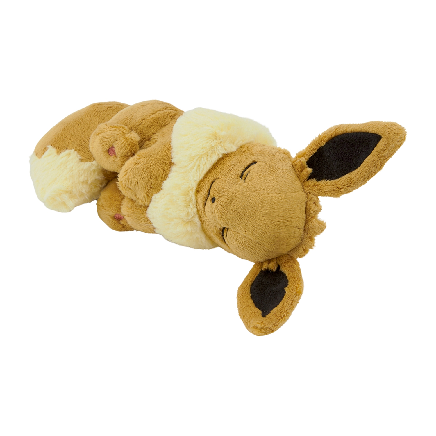 Sleeping Eevee / Schlafendes Evoli