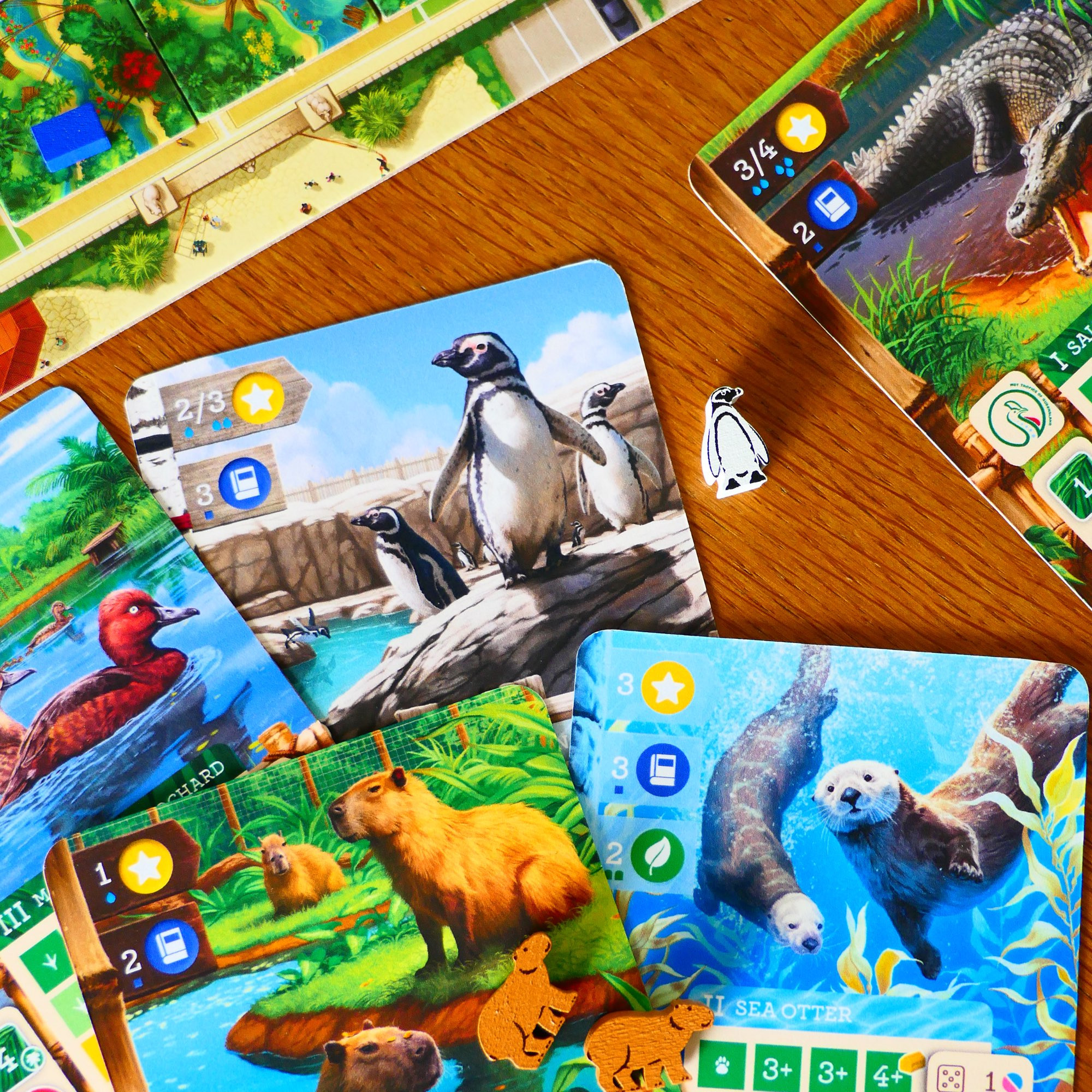 Zoo Tycoon: TBG - New Shores - Deluxe
