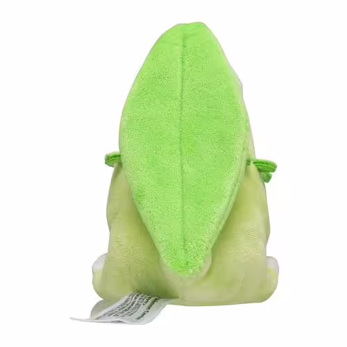 Chikorita / Endivie