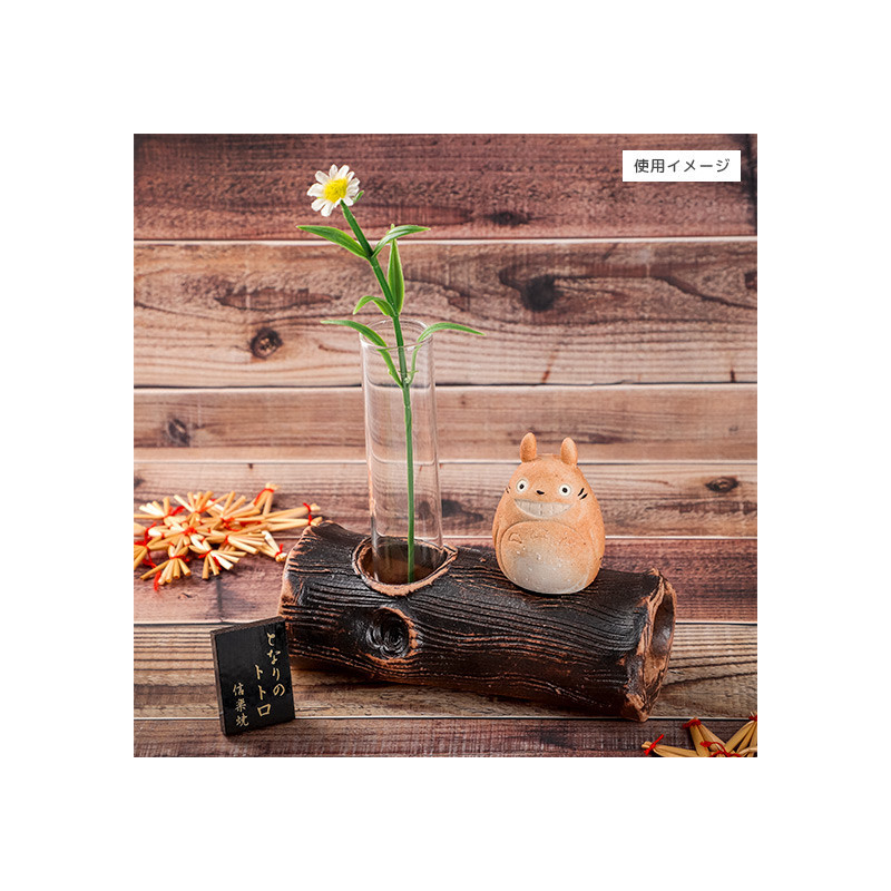 Flower Pot Shigaraki Ware My Neighbor Totoro