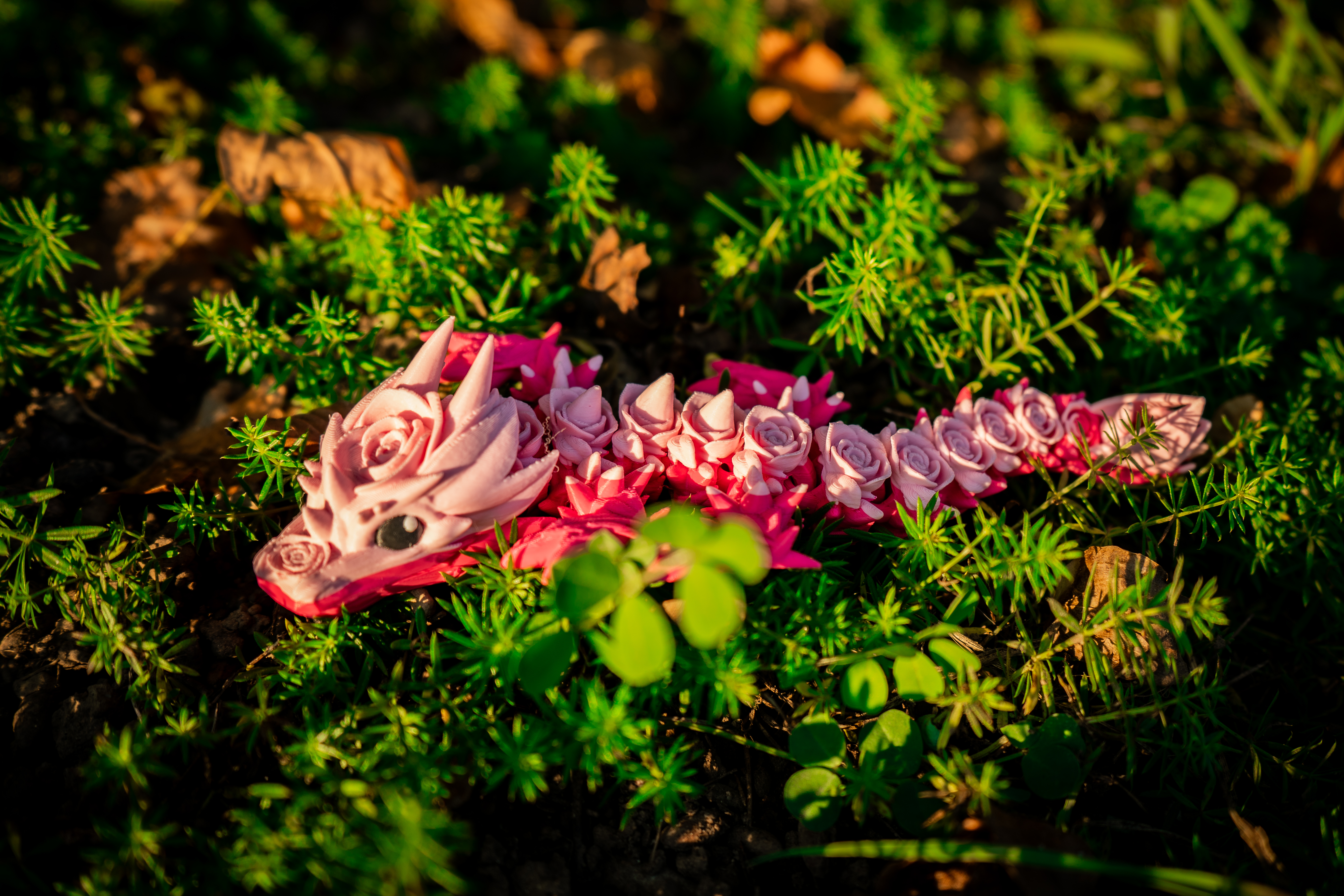 Rose Baby Drache