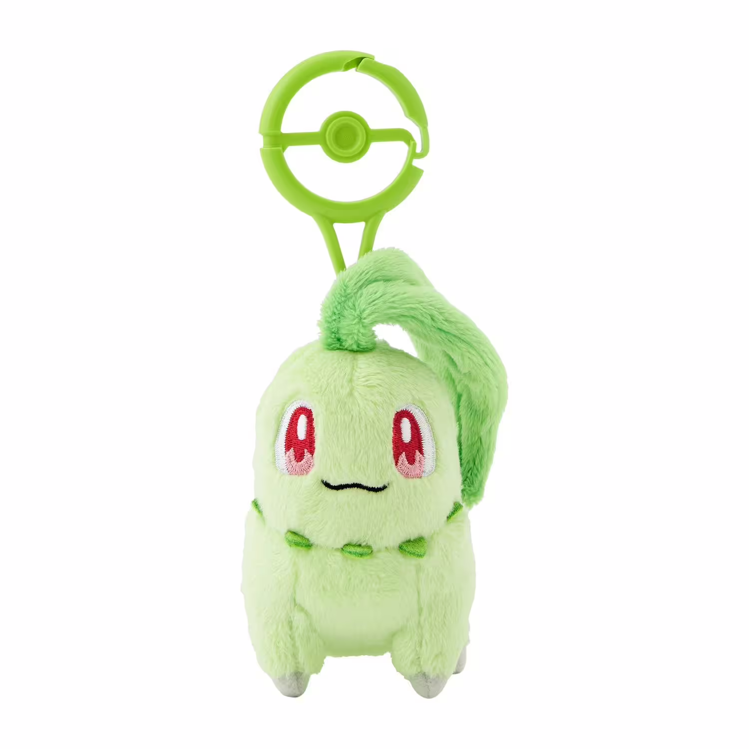 Chikorita / Endivie