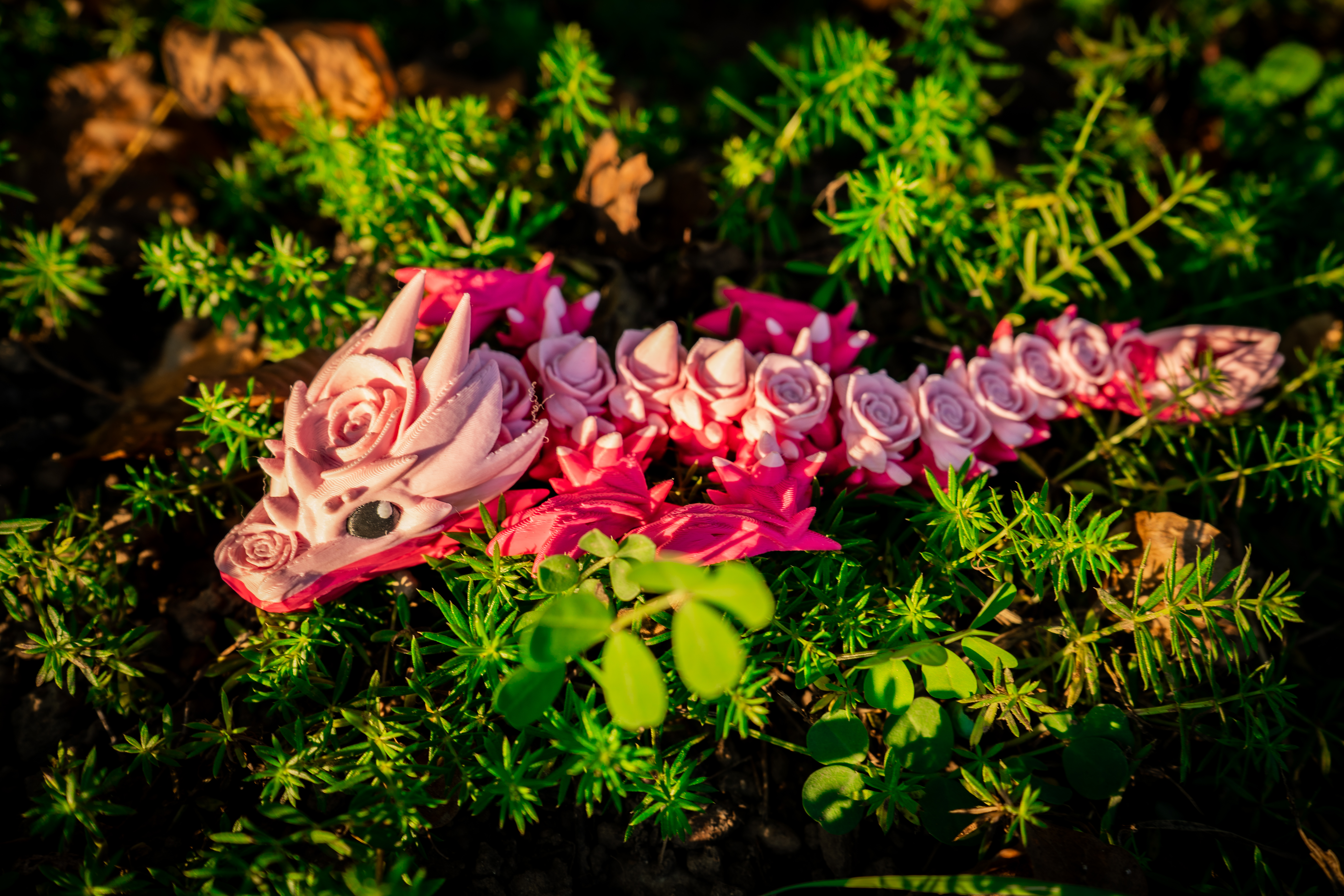Rose Baby Drache