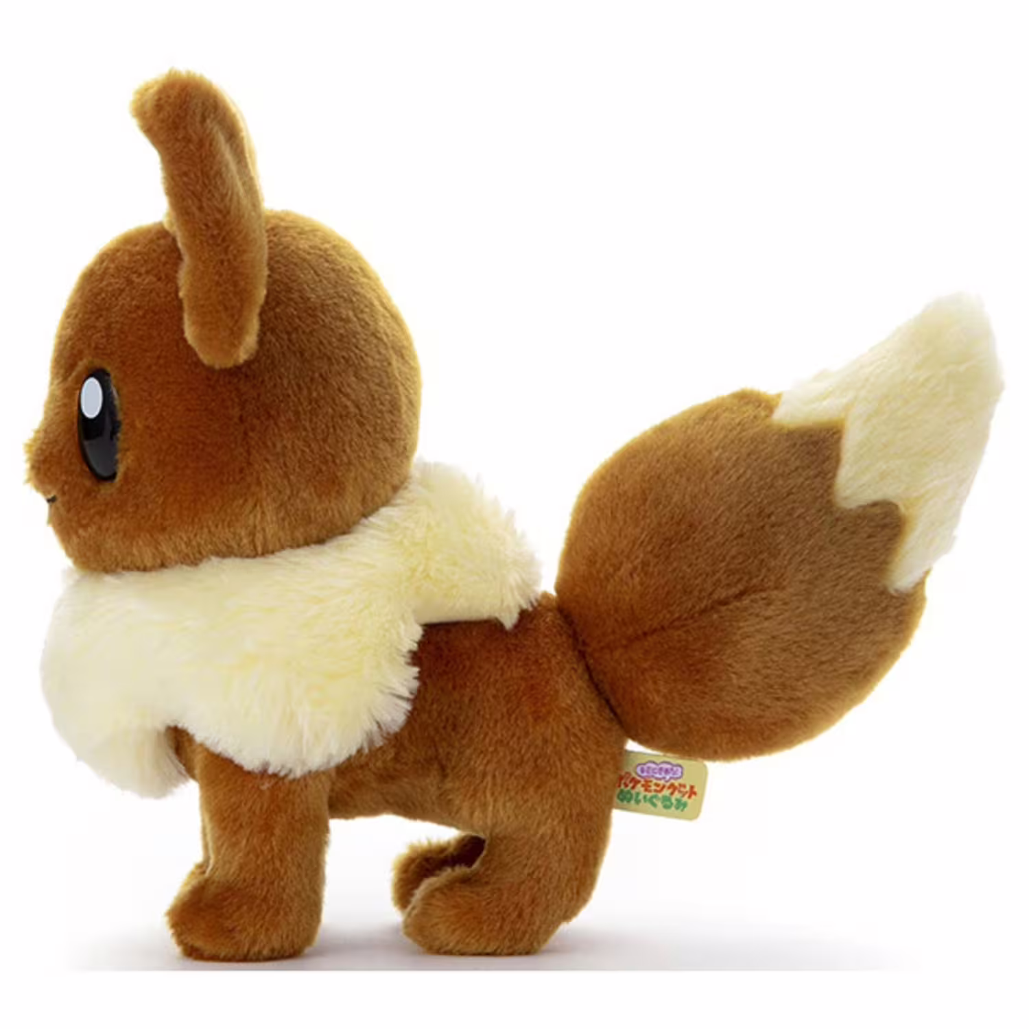 Eevee / Evoli