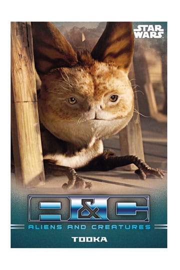 Star Wars: The Mandalorian Sammelkarten Starter Pack Star Wars: The Mandalorian Sammelkarten Starter Pack