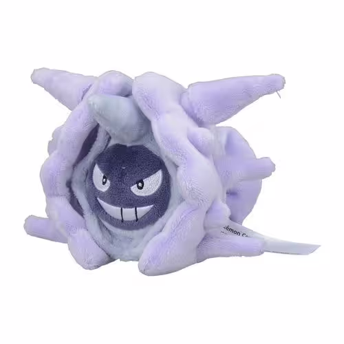Cloyster / Austos
