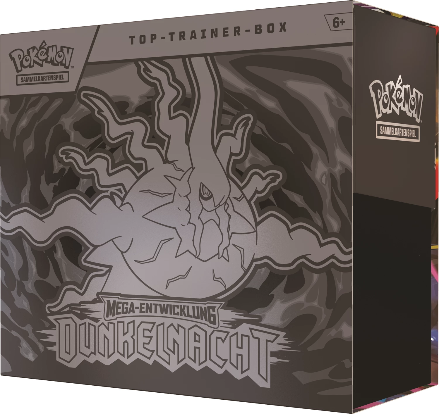 Dunkelnacht Top Trainer Box