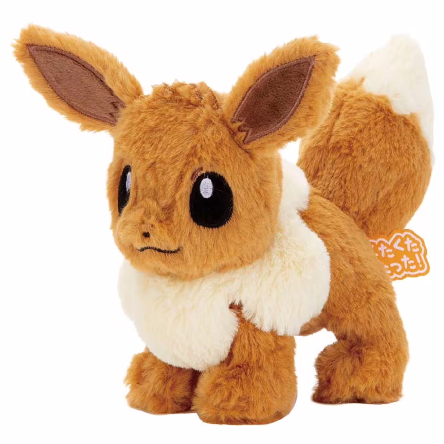 Eevee / Evoli