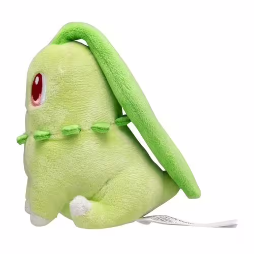 Chikorita / Endivie
