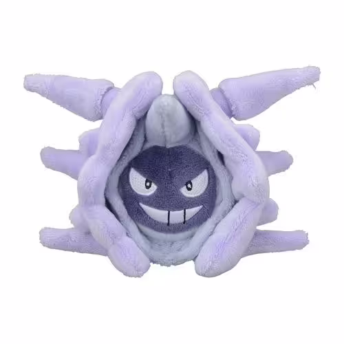 Cloyster / Austos