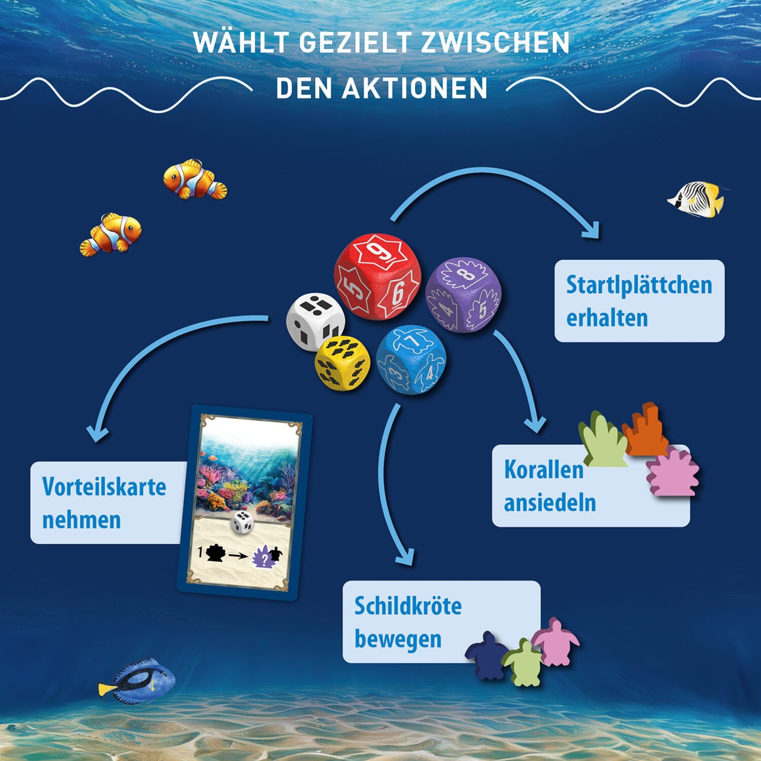 Australis, Brettspiel Australis, Brettspiel
