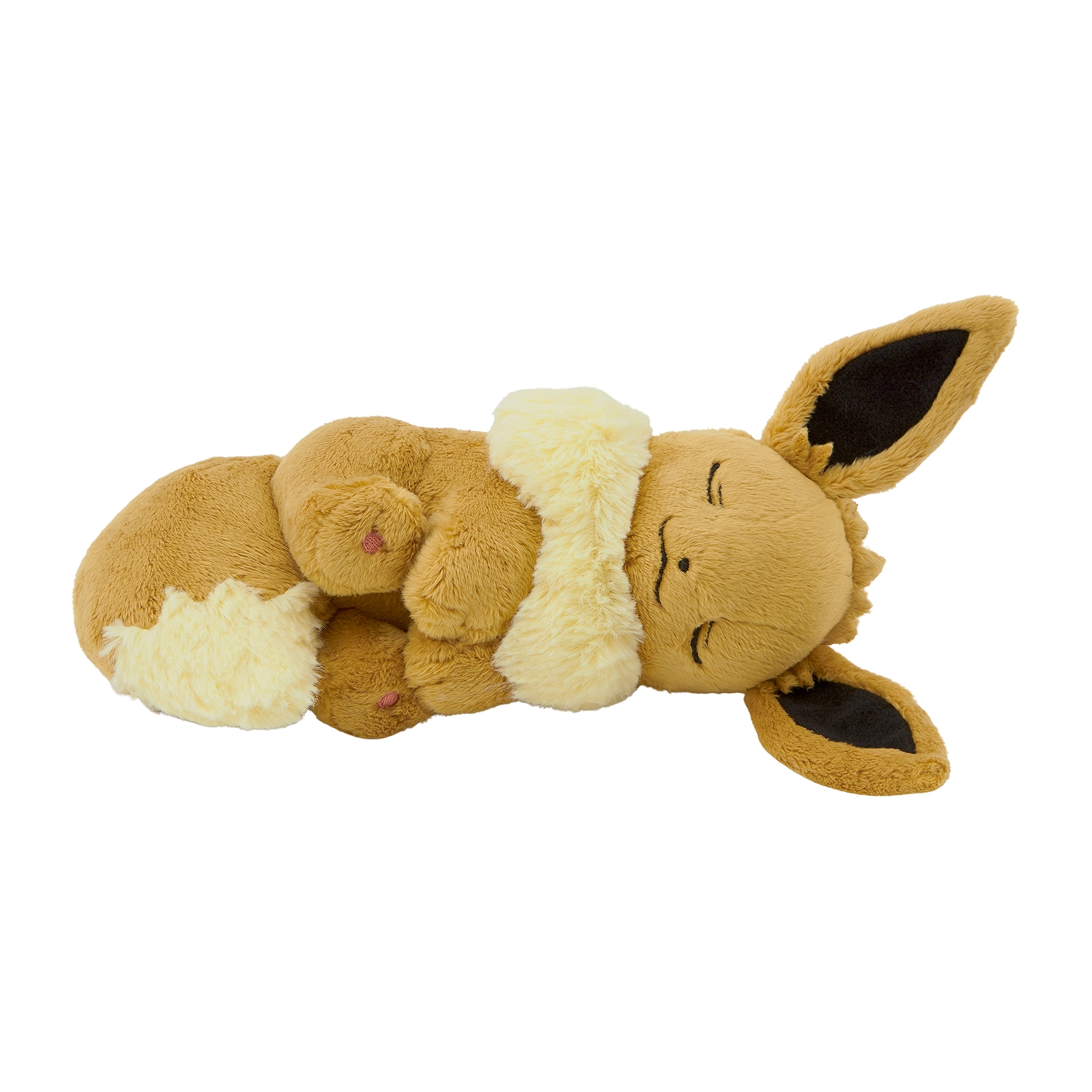 Sleeping Eevee / Schlafendes Evoli