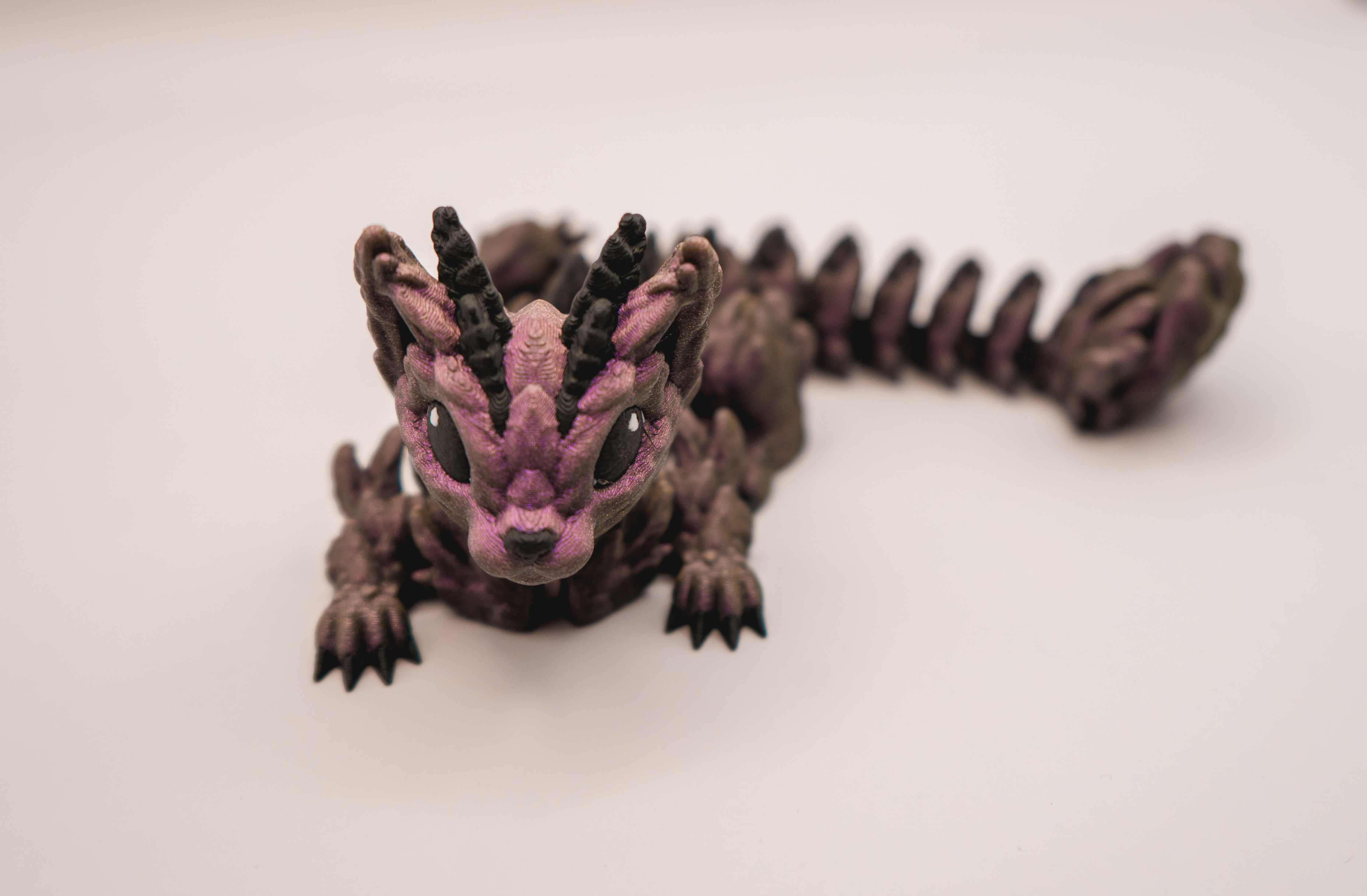 Purple Cat Katze Baby Drache