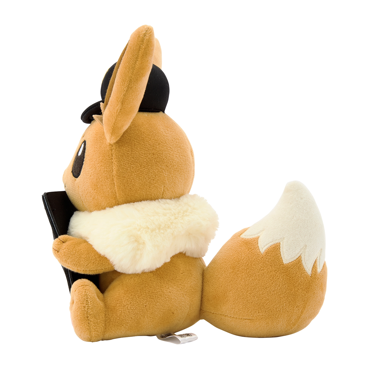Eevee / Evoli