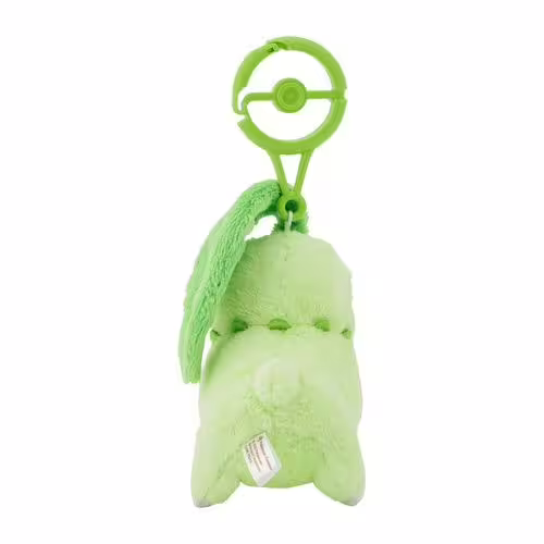 Chikorita / Endivie